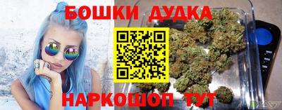 шишки Аргун