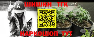 шишки Аргун