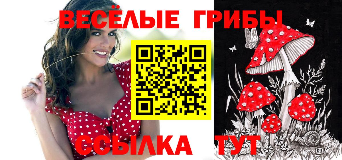 Галлюциногенные грибы MAGIC MUSHROOMS Великие Луки