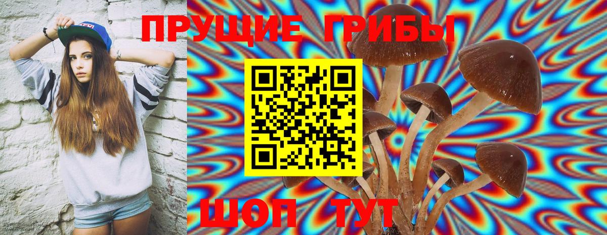 Псилоцибиновые грибы GOLDEN TEACHER  Вход с VPN  Великие Луки 